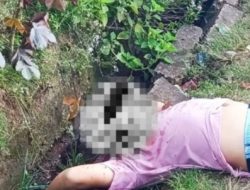 ‎Pria Tewas Bersimbah Darah di Pinggir Jalan Bumi Kawa, Polisi Selidiki Dugaan Pembunuhan ‎