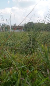 ‎Anggaran Dipertanyakan, Taman Kota Baturaja Minim Pemeliharaan ‎