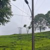 Ganggu Jalur Paralayang, Wali Kota Pagaralam Desak Tiang Listrik Dibongkar