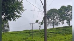 Ganggu Jalur Paralayang, Wali Kota Pagaralam Desak Tiang Listrik Dibongkar