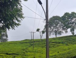 Ganggu Jalur Paralayang, Wali Kota Pagaralam Desak Tiang Listrik Dibongkar